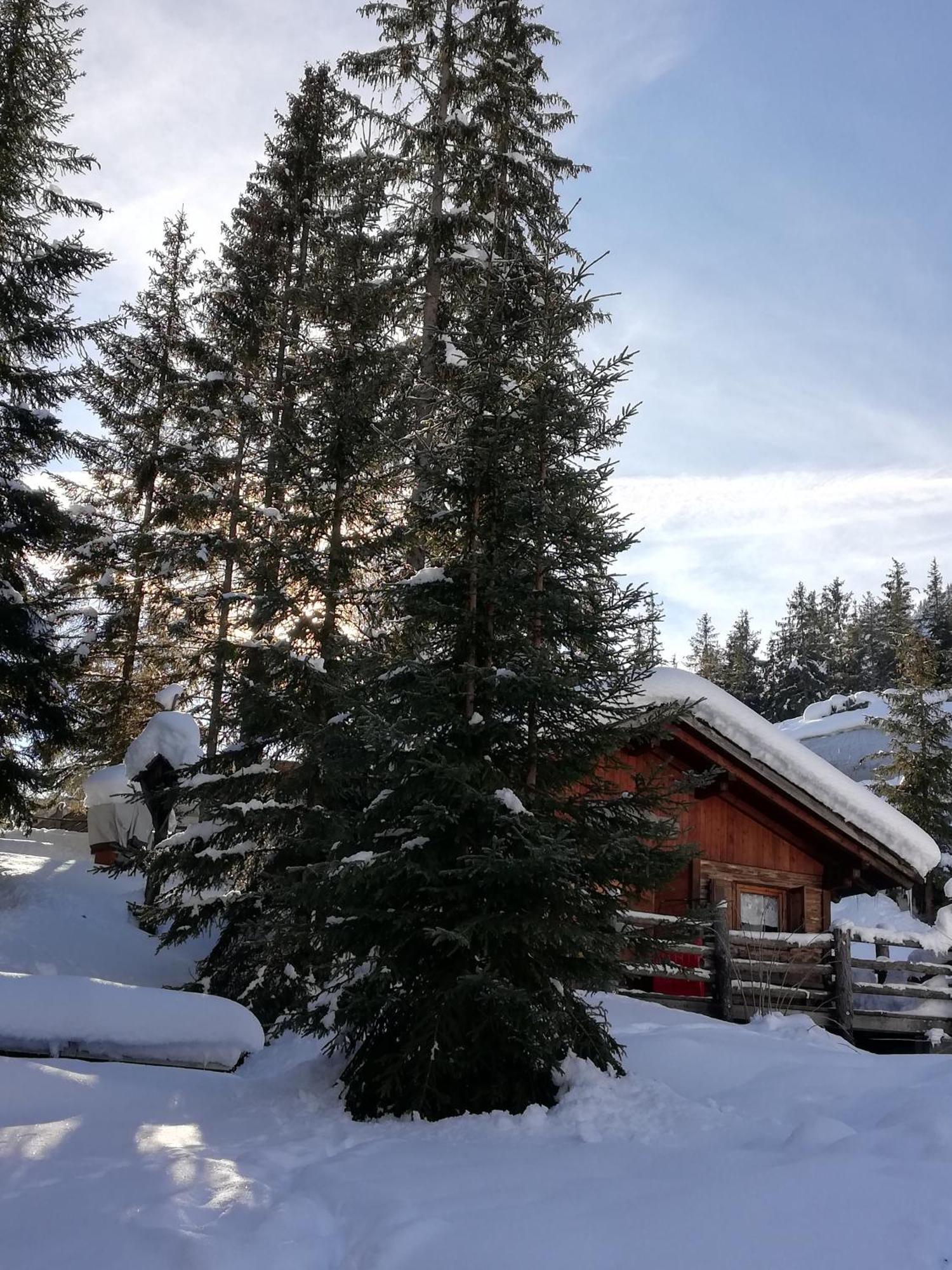 Aria D'bosch Badia (South Tyrol)